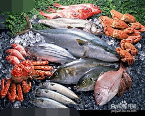 文明乘車，一路溫馨——淺談乘坐公交時需注意的文明行為